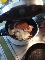 IMG_20250511_171353_805.jpg