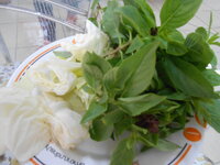 DSCN9864.JPG