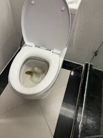 IMG_0349.jpeg