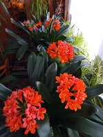 IMG_20250330_161033_022.jpg