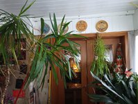 IMG_20250330_161333_020.jpg