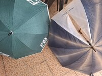 20250516_115338.jpg
