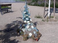 IMG-20240823-WA0031.jpg