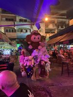 IMG_5227.jpeg