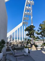 IMG_20241203_100257.jpg