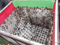DSCN9831.JPG