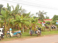 DSCN9838.JPG