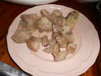 DSCN0058.JPG