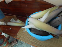 DSCN9954.JPG