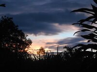 DSCN9907.JPG