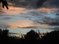 DSCN9903.JPG