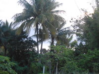 DSCN9905.JPG