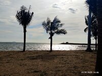 IMG_20250519_164755.jpg