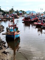 IMG_20250519_164447.jpg