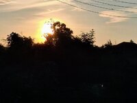 20250520_061158.jpg