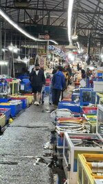 IMG_3863.jpeg