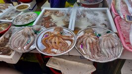 IMG_3870.jpeg