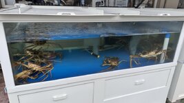 IMG_3878.jpeg