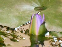 DSCN8932~2.JPG
