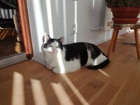 IMG_20201102_135703-1.jpg
