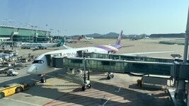 IMG_3897.jpeg