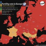 fertility rate.jpg