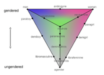 Gender Pyramid.png