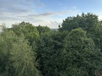 IMG_5502.JPG