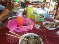 DSCN0522.JPG