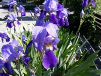 IMG-20250502-WA0123.jpg