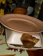 DSCN0822~2.JPG