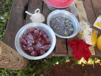 DSCN0814.JPG