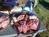 DSCN0811.JPG