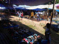 DSCN1168.JPG