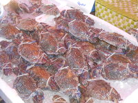 DSCN0816.JPG