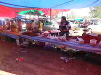 DSCN1174.JPG