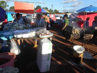 DSCN0818.JPG