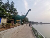 216.jpg