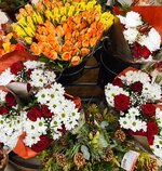 IMG-20231208-WA0002~4.jpg