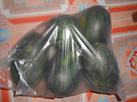 DSCN1325.JPG
