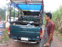 DSCN1294.JPG