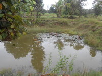DSCN9897.JPG