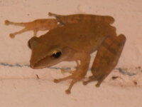 DSCN1148.JPG