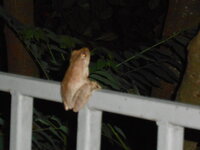 DSCN1141.JPG