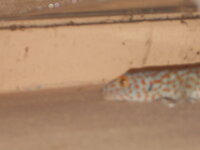 DSCN1285.JPG