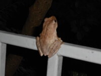 DSCN1144.JPG