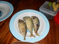 DSCN9914.JPG