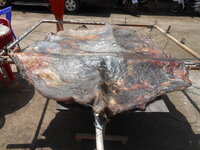 DSCN0751.JPG