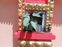 DSCN0765.JPG