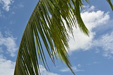 54561999596_4b823ee24c_h.jpg